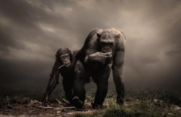 Digital Camera Photographer of the Year 2009