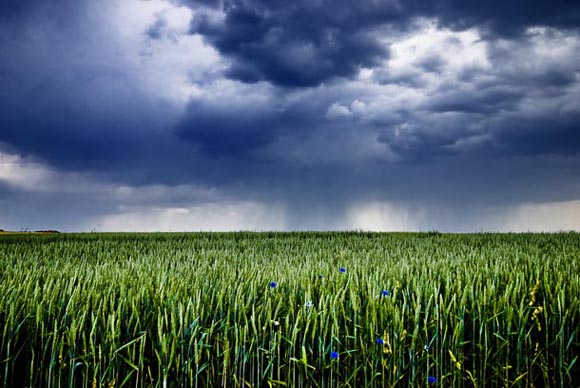 Digital Camera Photographer of the Year 2009