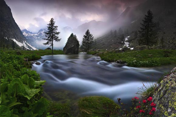 Digital Camera Photographer of the Year 2009
