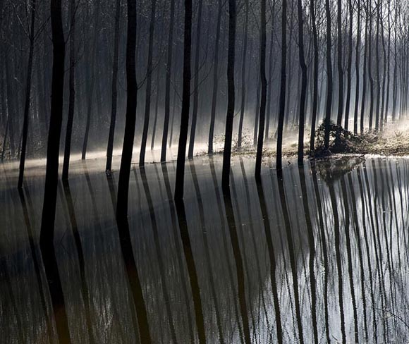Digital Camera Photographer of the Year 2009
