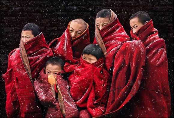 Digital Camera Photographer of the Year 2009