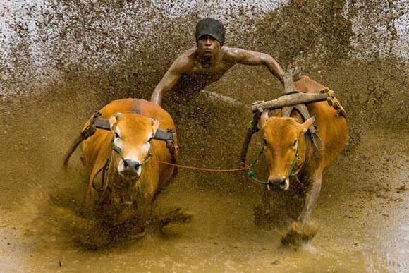 Digital Camera Photographer of the Year 2009