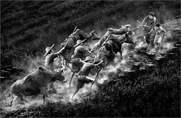 Digital Camera Photographer of the Year 2009