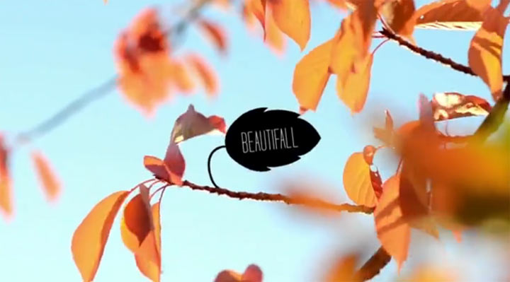 Beautifall Skateboarding beautifall_01 