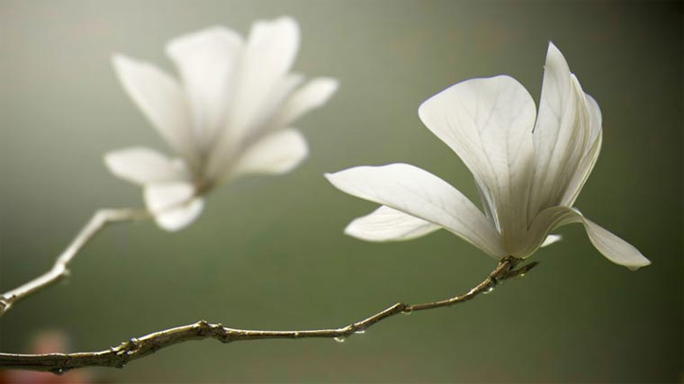 Unglaublich realistische CGI-Artworks CGI-Artworks_03