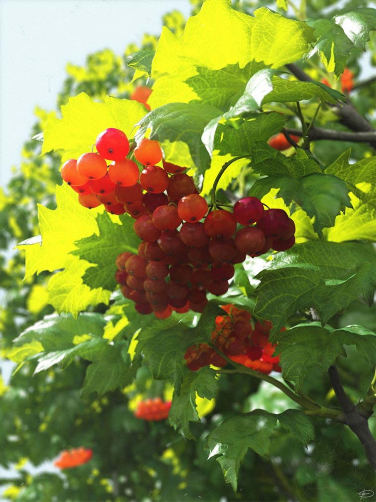 Unglaublich realistische CGI-Artworks CGI-Artworks_08