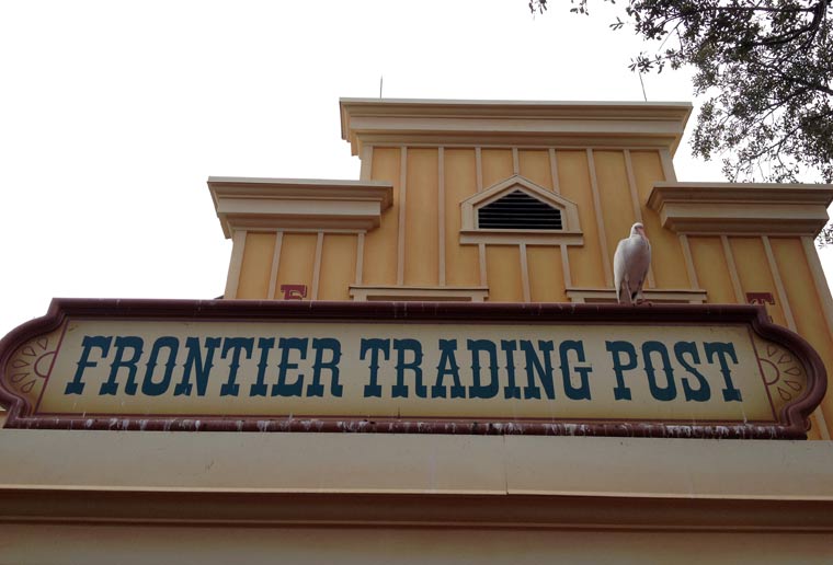 Reisebericht: Florida & Bahamas – Teil 3 Florida-Bahamas_bericht-teil3_25 