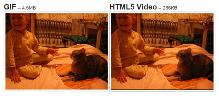 gfycat - die Revolution der GIF-Animationstechnik GFYCAT 