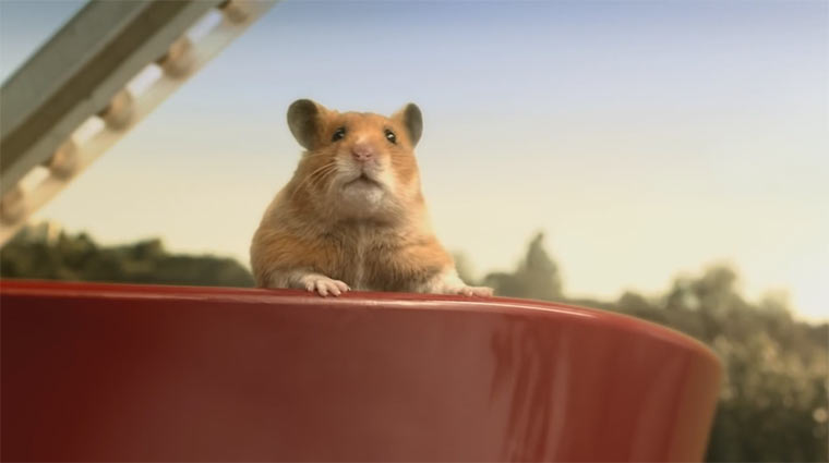 Werbehamstar Hank im Interview Hank_eBay 