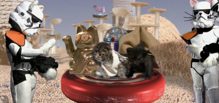 Star Wars with cute kittens Paw_Warz 