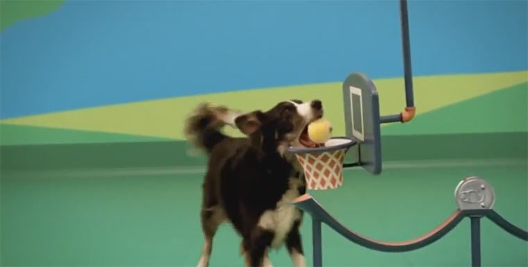 Dog Goldberg Machine dog_goldberg_machine 