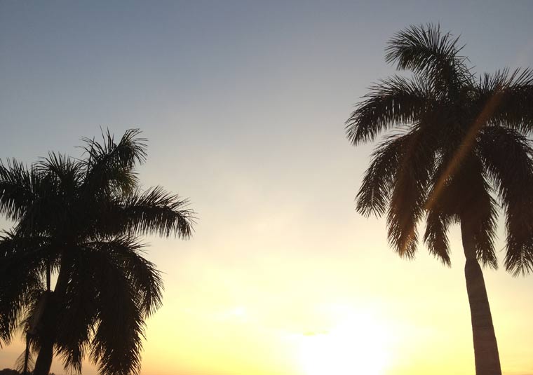 Reisebericht: Florida & Bahamas – Teil 2 floridabericht-Teil2_10 