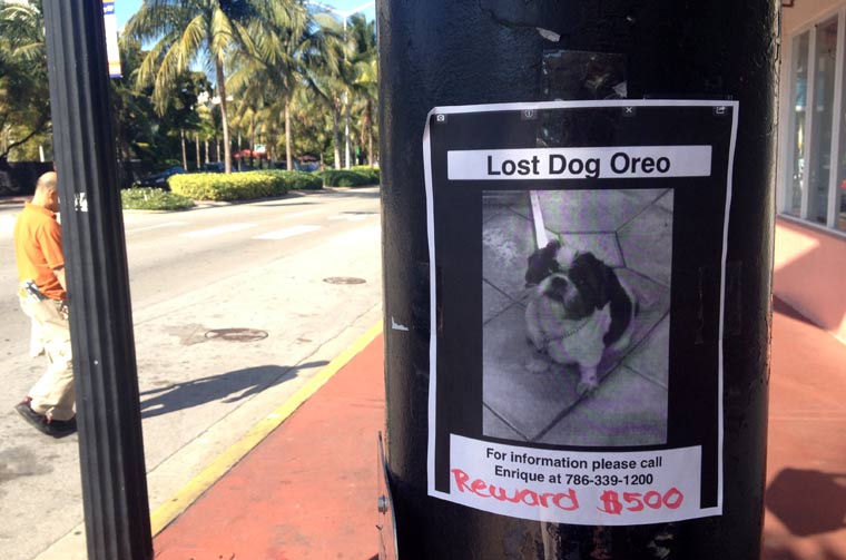 Reisebericht: Florida & Bahamas – Teil 2 floridabericht-Teil2_17 