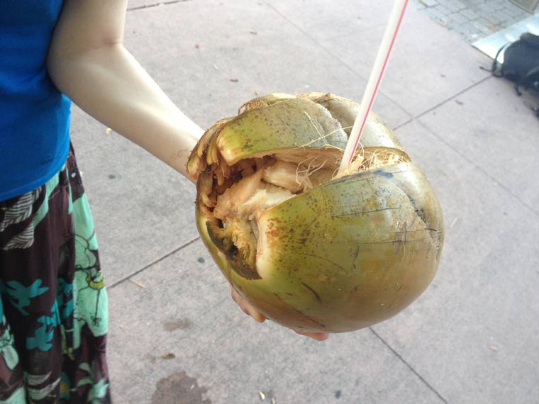 Reisebericht: Florida & Bahamas – Teil 2 floridabericht-Teil2_18 