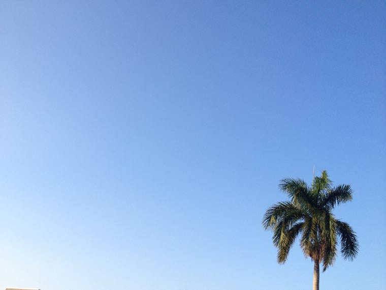 Reisebericht: Florida & Bahamas – Teil 2 floridabericht-Teil2_21 