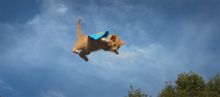 Fliegende Kätzchen vs. fliegende Welpen flying_kittens_and_puppies 