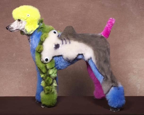 Schrecklich absurd: Cosplay für Hunde hundescosplay_02 