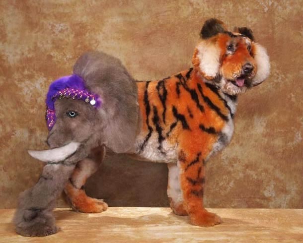 Schrecklich absurd: Cosplay für Hunde hundescosplay_06 