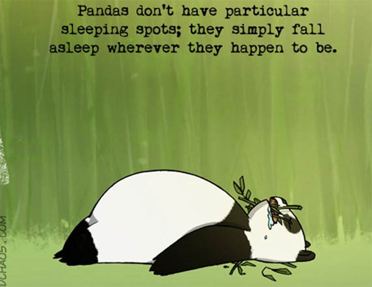 Schön illustriertes unnützes Naturwissen nature-known_01 