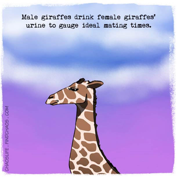 Schön illustriertes unnützes Naturwissen nature-known_03 