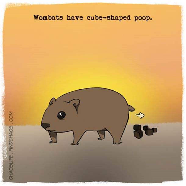 Schön illustriertes unnützes Naturwissen nature-known_04 