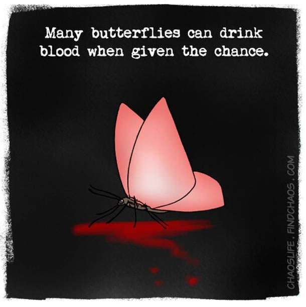 Schön illustriertes unnützes Naturwissen nature-known_05 