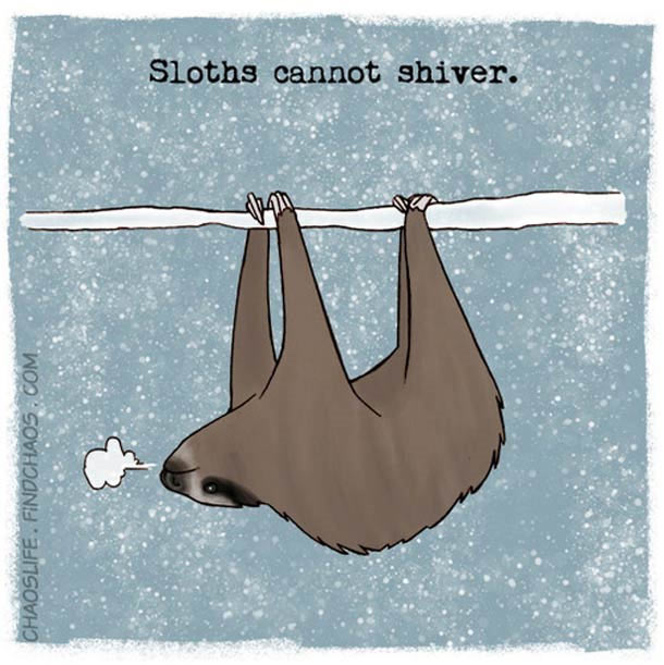 Schön illustriertes unnützes Naturwissen nature-known_06 