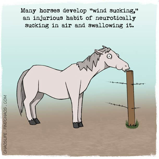 Schön illustriertes unnützes Naturwissen nature-known_09 