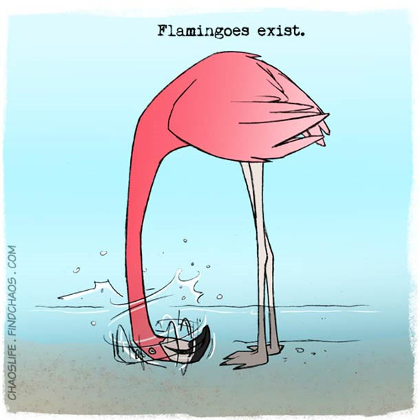 Schön illustriertes unnützes Naturwissen nature-known_11 