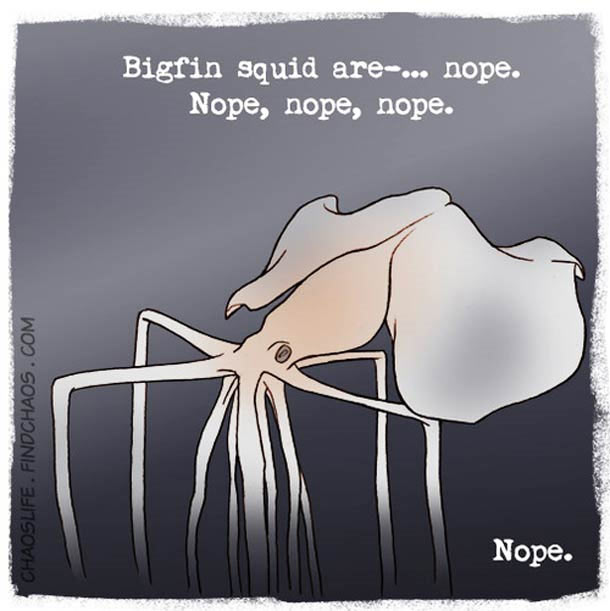 Schön illustriertes unnützes Naturwissen nature-known_12 