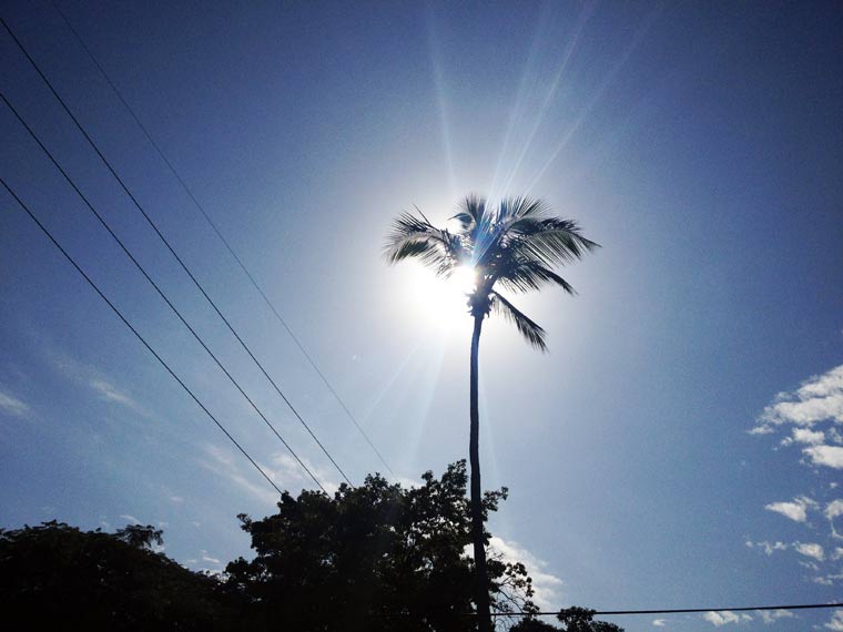 Reisebericht: Florida & Bahamas - Teil 1 reisebericht_florida-bahamas_Teil-1_24 