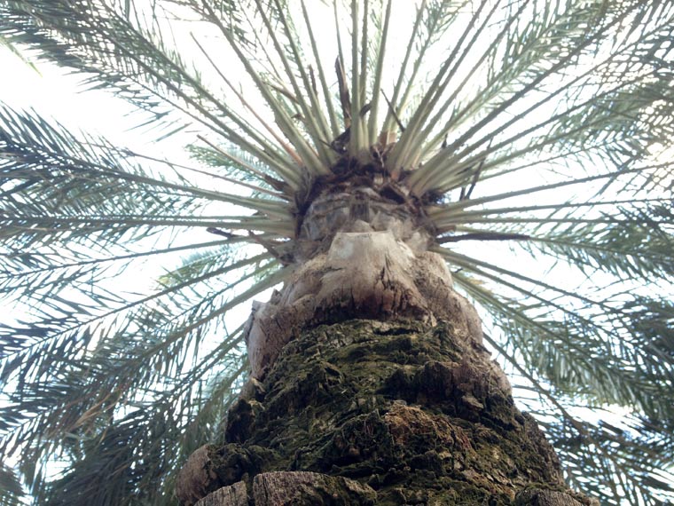 Reisebericht: Florida & Bahamas - Teil 1 reisebericht_florida-bahamas_Teil-1_32 