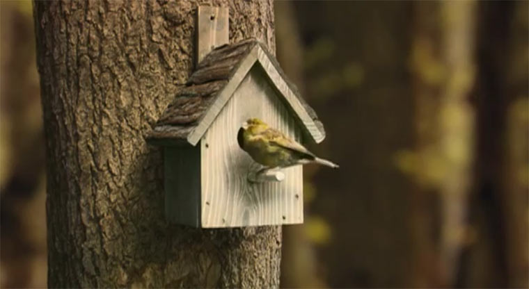 Robinsons Vogelhaus robinsonsbirdhouse