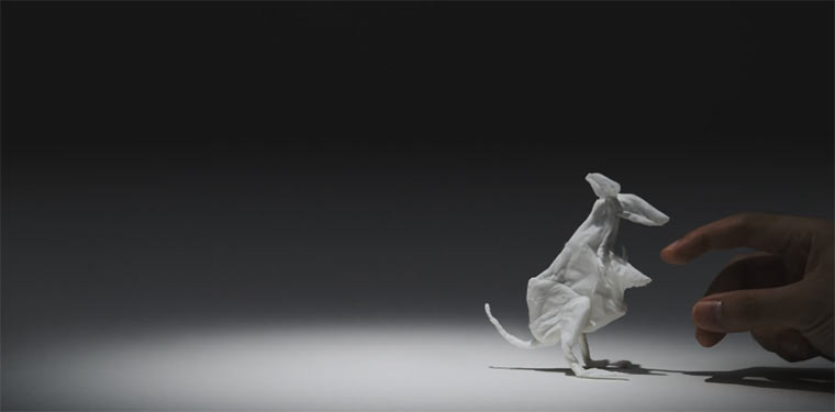 Tolle Taschentuchtiere tissue_animals 