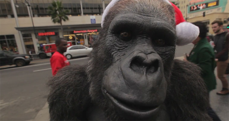 lebensechte steuerbare Gorillanachbildung zookeeper_gorilla