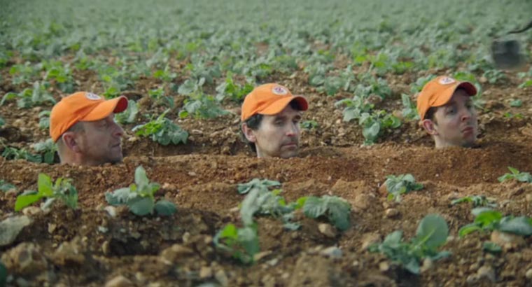 Das Leben als Kartoffel ist hart zweifel_kartoffelspot 