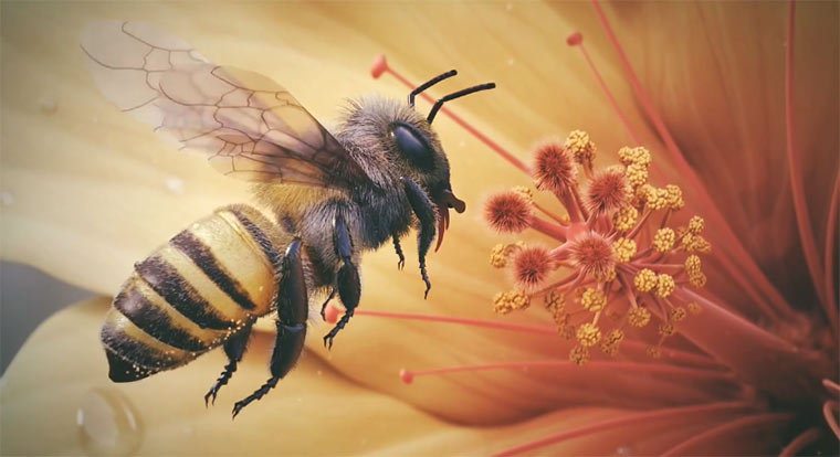 Haarklein animierte 3D-Biene 3D_Bee 