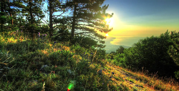 Around the World in 80 Clips Around_the_World_in_80_clips 