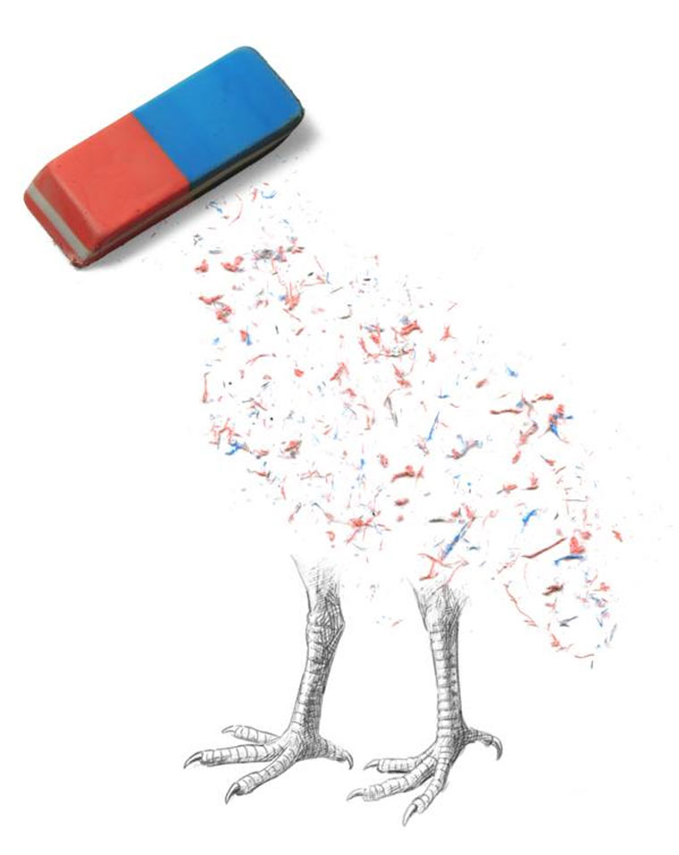 Alltagsdinge kreativ verarbeitet Christoph-Niemann_09 