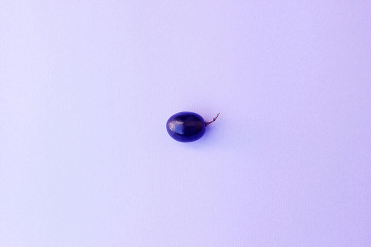 Fruit Juices Fruit_Juices_12 