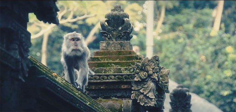 Lost in Indonesia Lost_indonesia