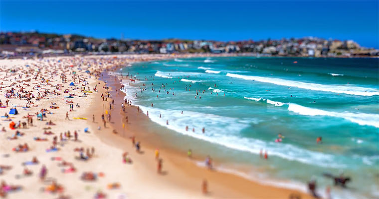 Tiny Sydney Tiny_Sydney 