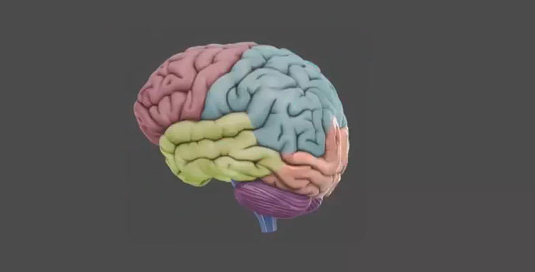 Your Brain Sucks at Video Games brain-videogames 