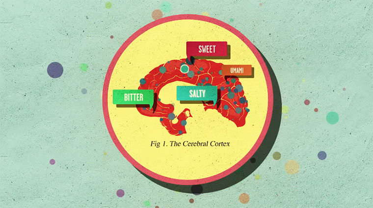 Was Zucker mit unserem Gehirn macht howsugaraffectsthebrain 