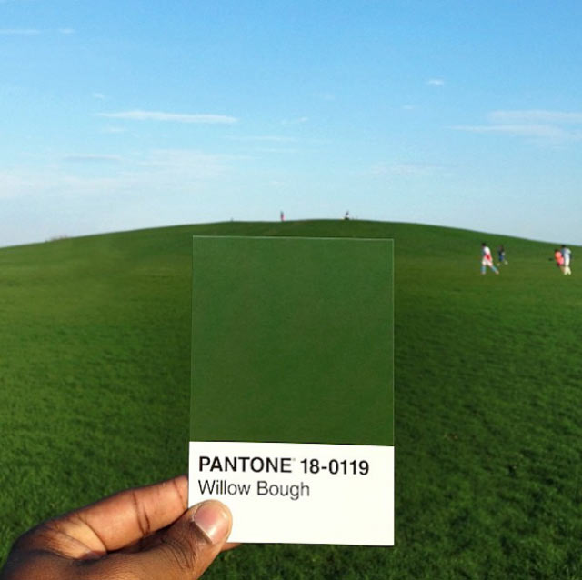 The Pantone Project Pantone_Project_04 