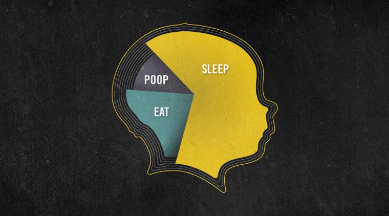 Designer macht wöchtentliche Profilportraits seiner Tochter Silhouette_project_17 