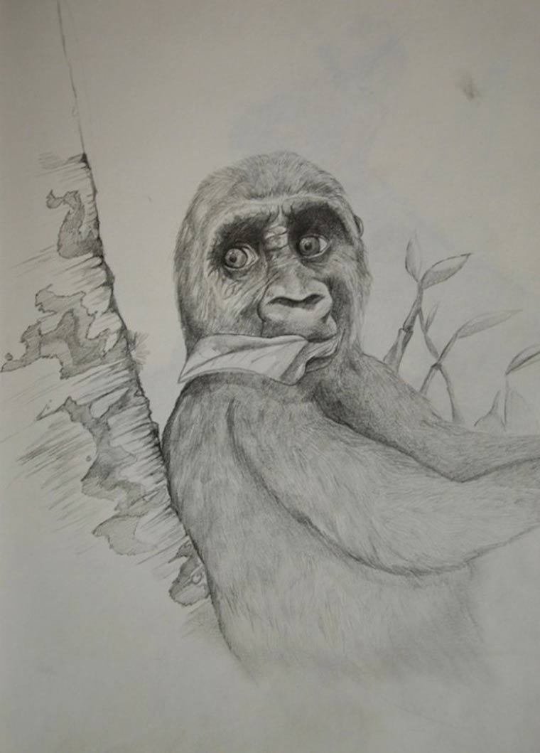 Werke eines Künstlers vom 2. bis 25. Lebensjahr marc_2-25_14 