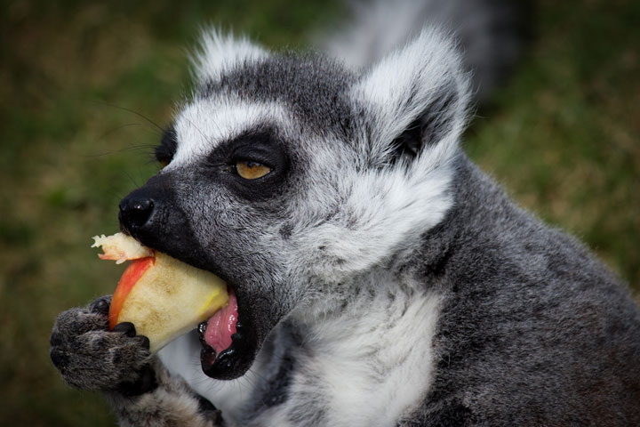 Fotografie: Achim Heckmann Achim_Heckmann_17 