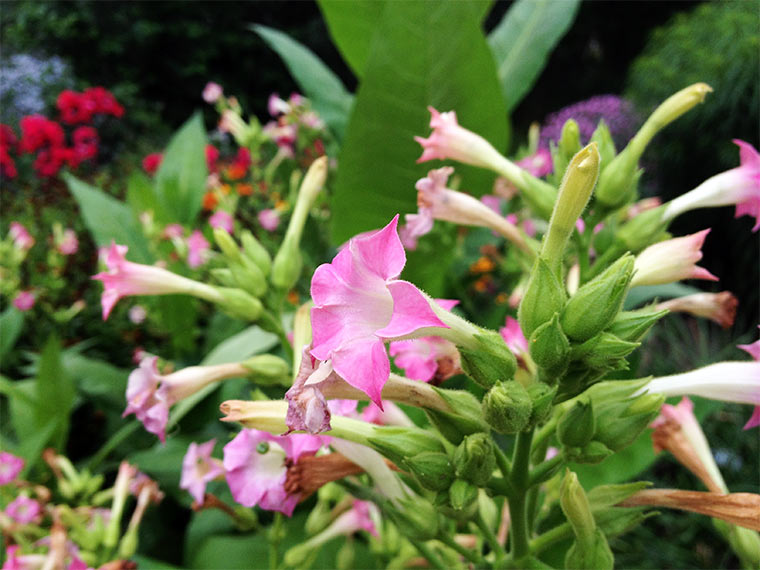 Mein Besuch auf der IGS 2013 in Hamburg IGS-HH-2013_10