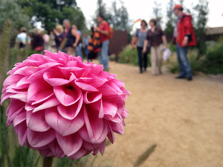 Mein Besuch auf der IGS 2013 in Hamburg IGS-HH-2013_15